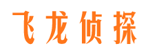 贺兰侦探公司